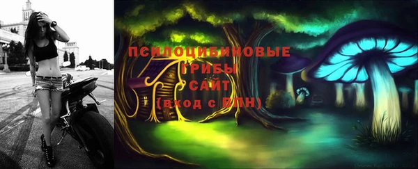 PSILOCYBIN Алексеевка